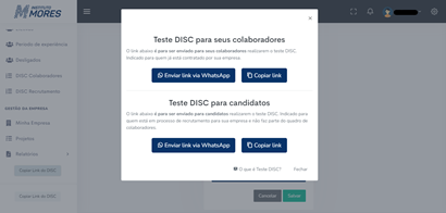 Tela - Geração de links do teste DISC